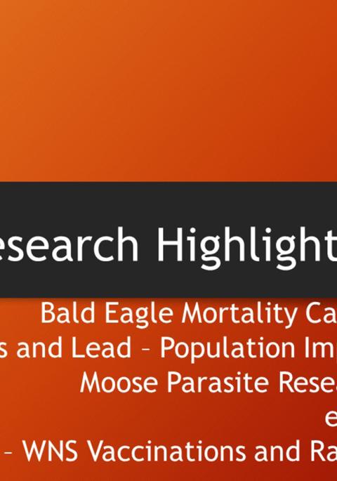 Thumbnail of title slide