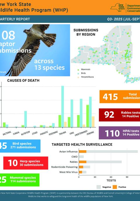 Thumbnail of Q3 2025 WHP report