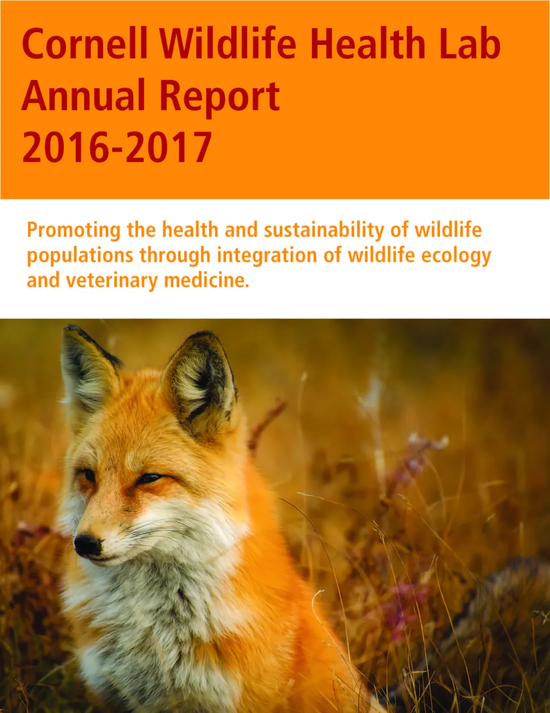 Thumbnail of NYS WHP Annual Report 2016-2017