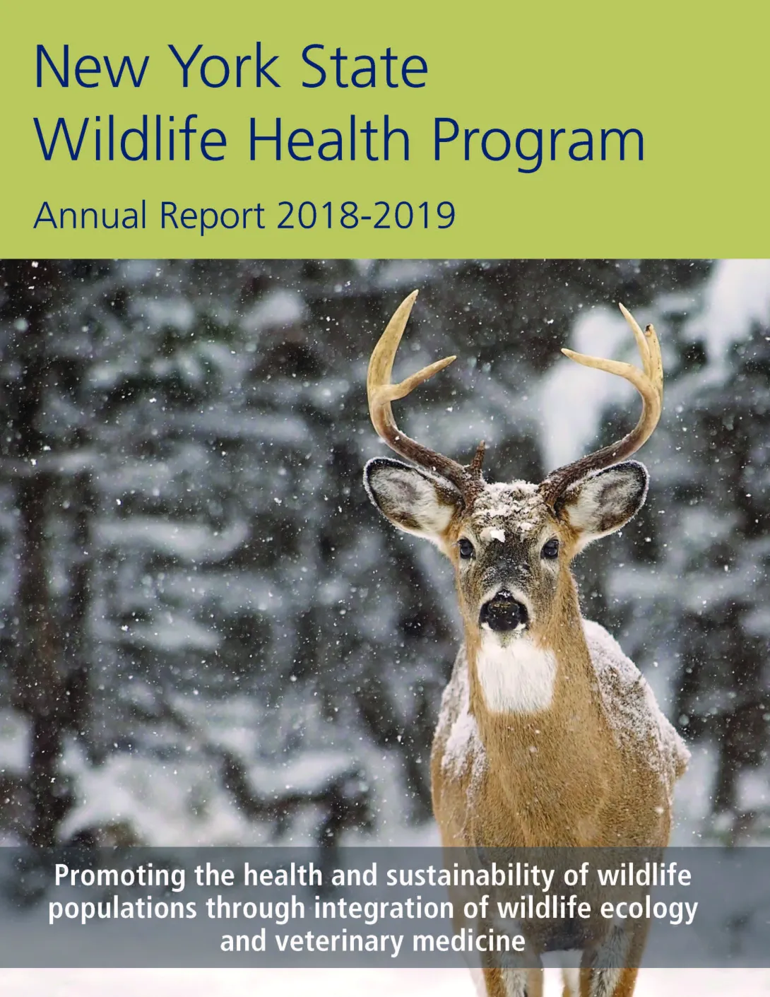 Thumbnail of NYS WHP Annual Report 2018-2019