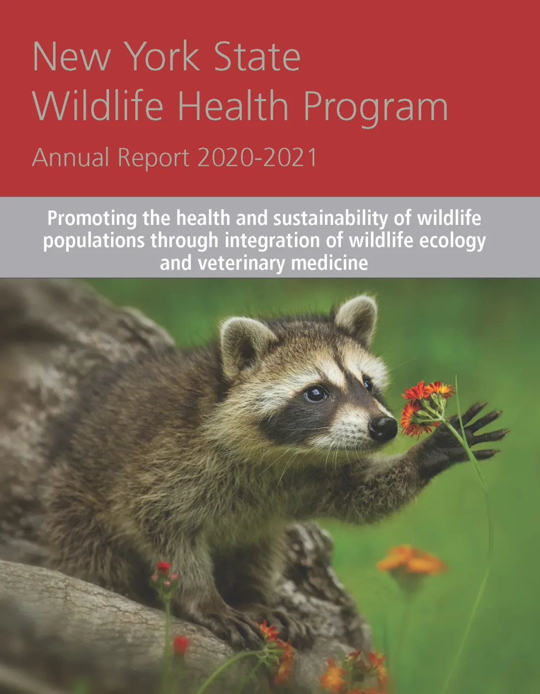 Thumbnail of NYS WHP Annual Report 2020-2021