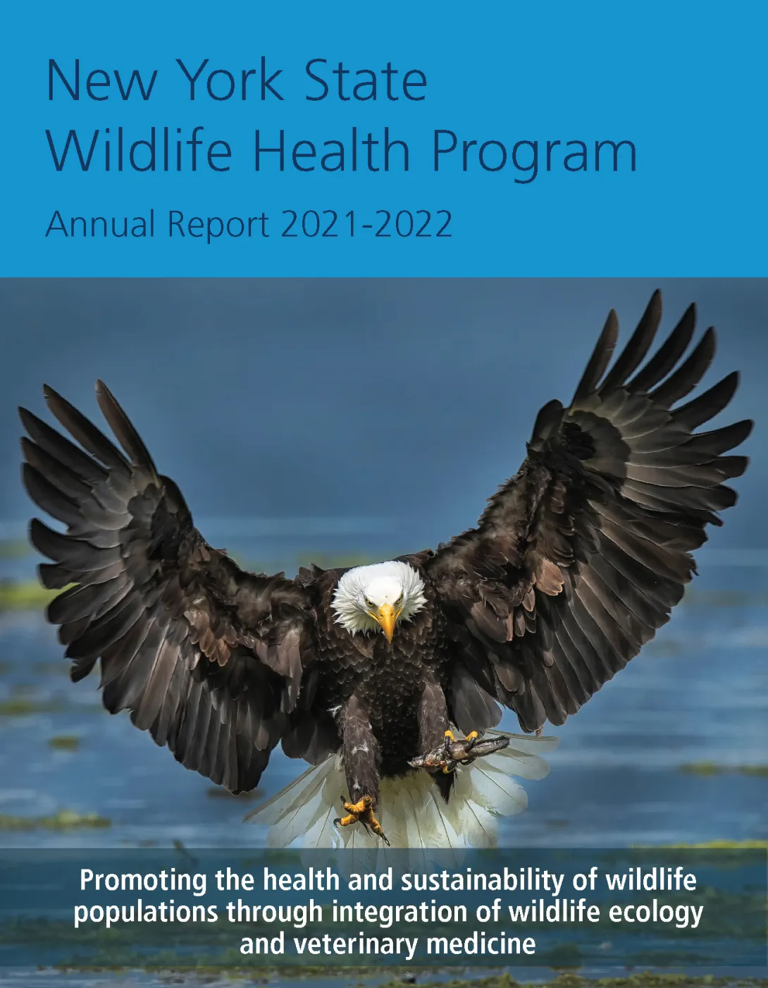 Thumbnail of NYS WHP Annual Report 2021-2022