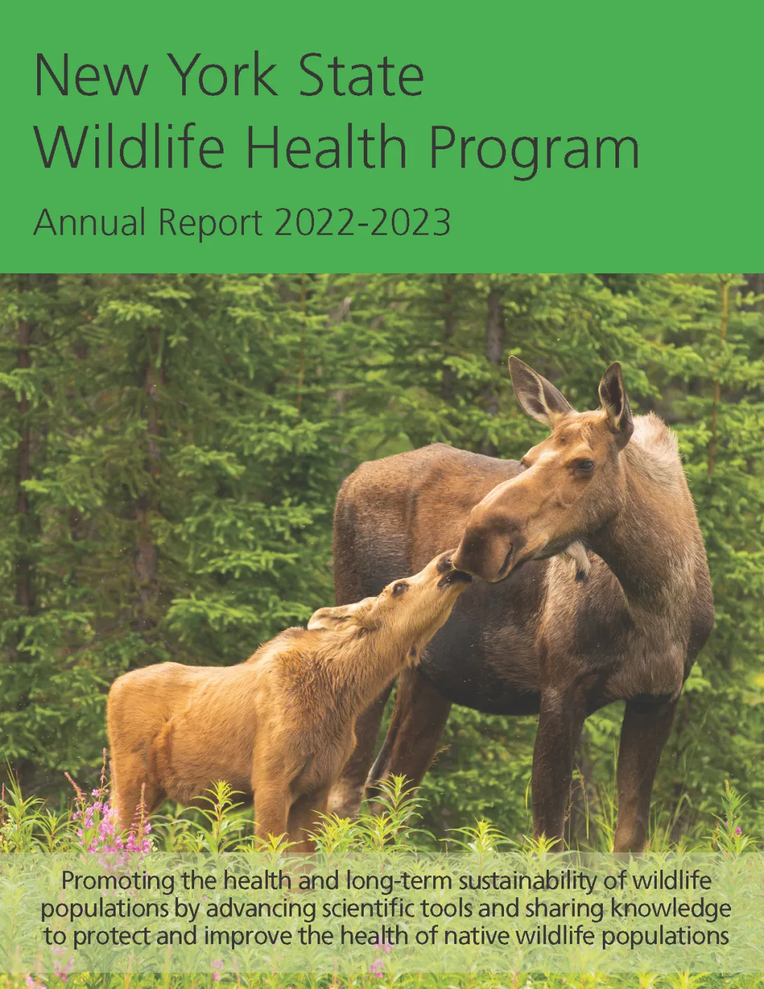 Thumbnail of NYS WHP Annual Report 2022-2023