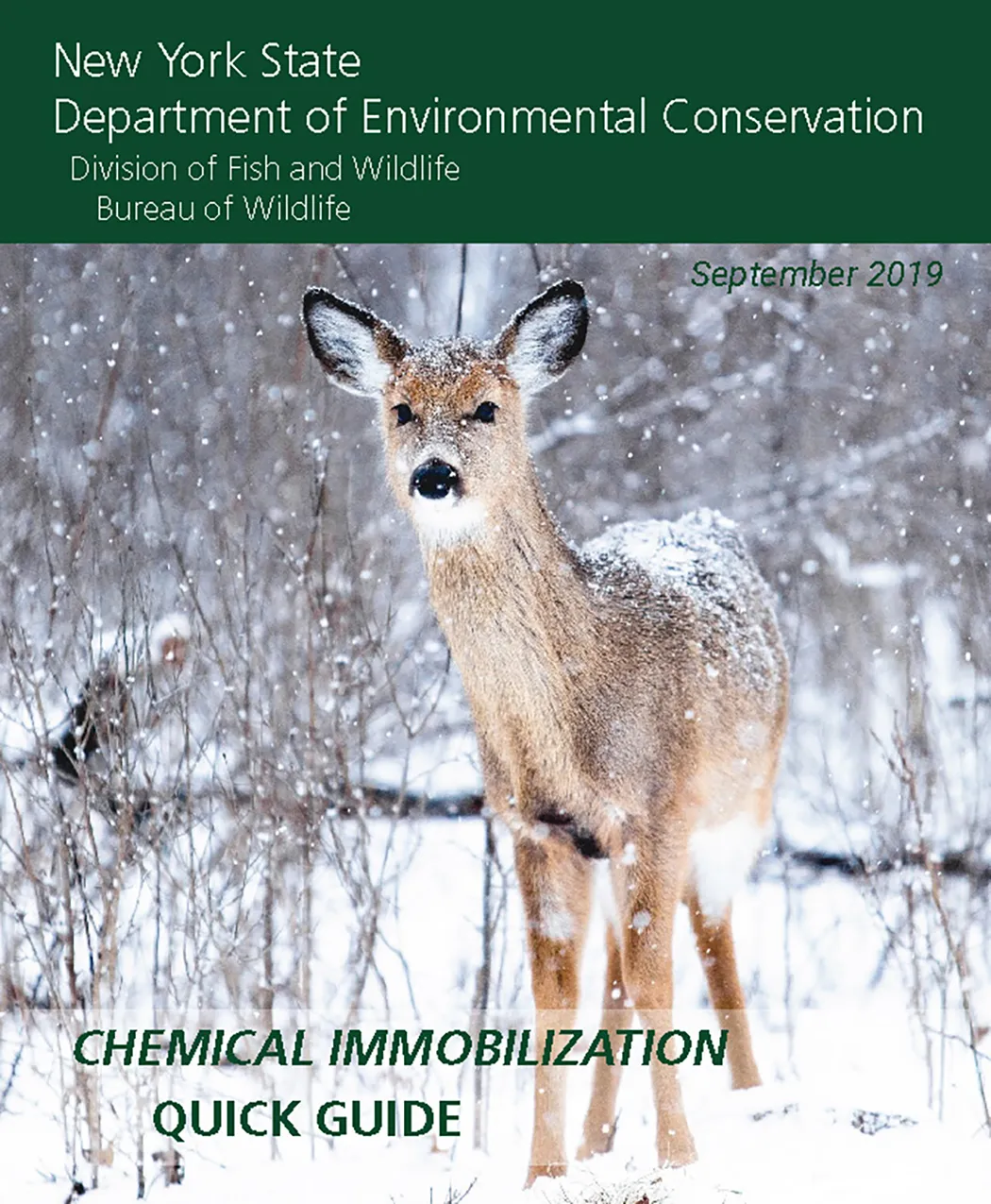 Thumbnail of Chemical Immobilization Quick Guide