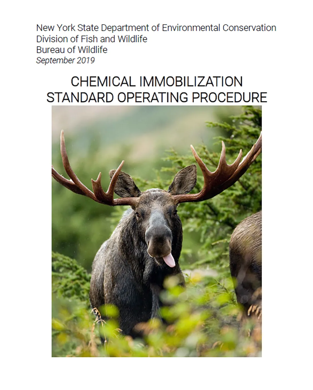 Thumbnail of NYSDEC Chemical Immobilization SOP