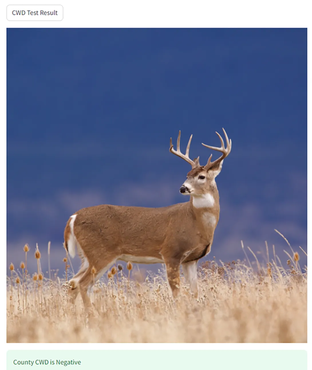 The image displays when the app predicts the county to be negative for CWD