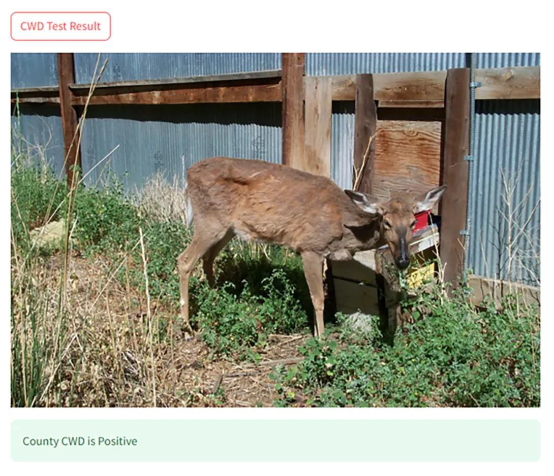 The image displays when the app predicts the county to be positive for CWD
