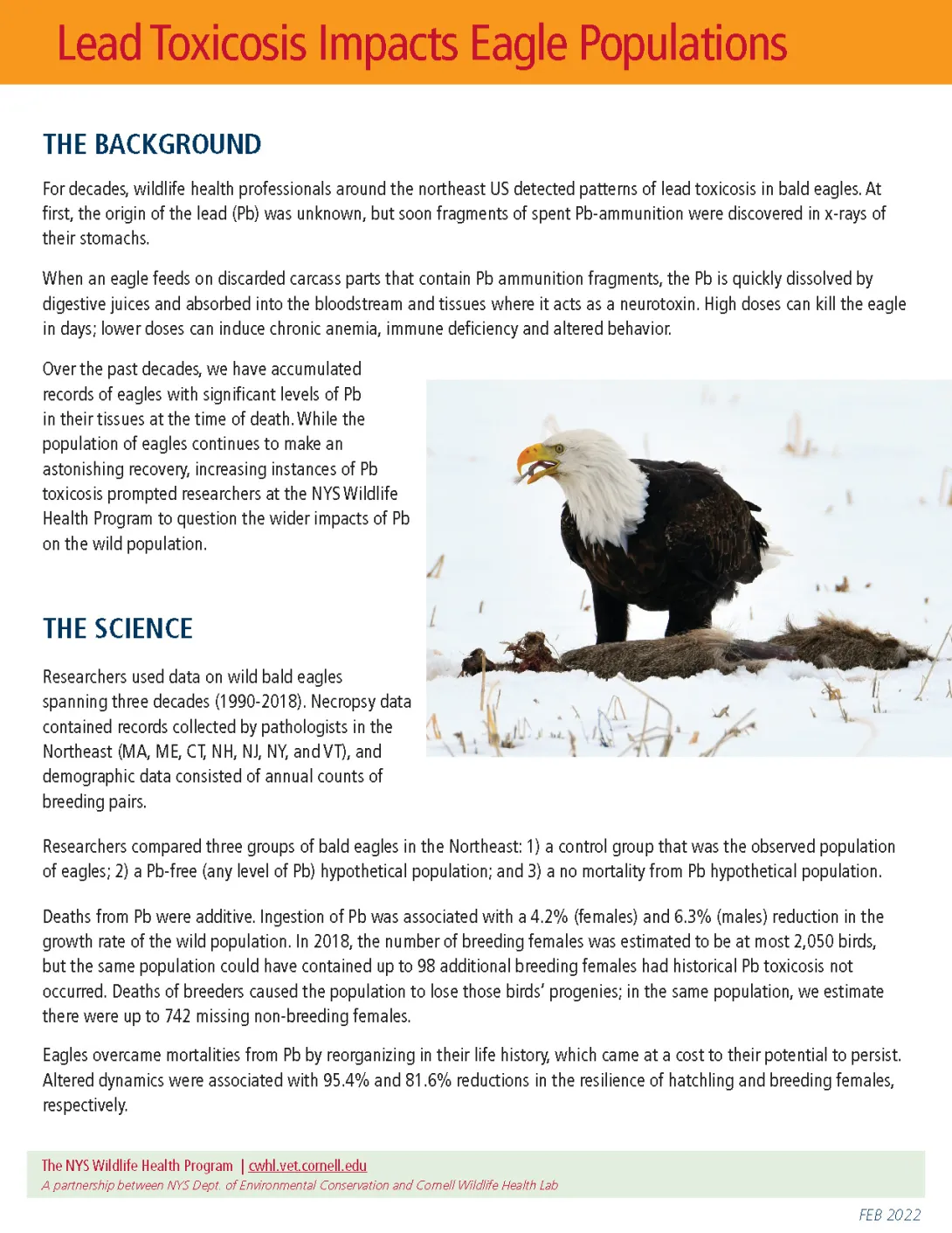 Thumbnail of fact sheet; click on image to download PDF