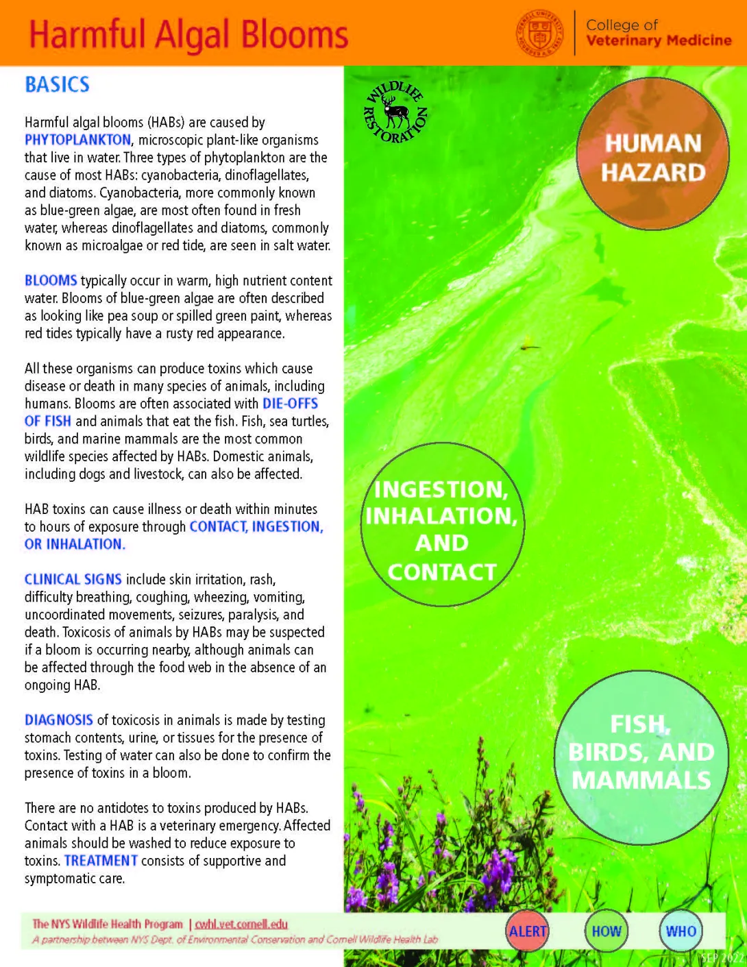 thumbnail of HAB fact sheet