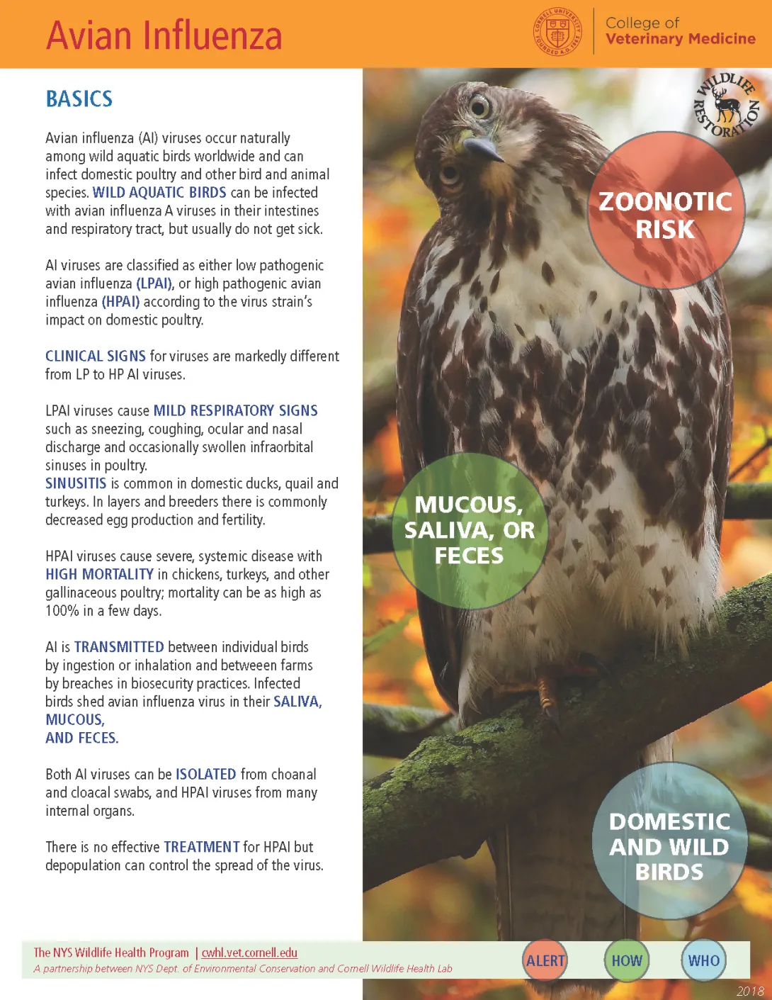 thumbnail of AI fact sheet