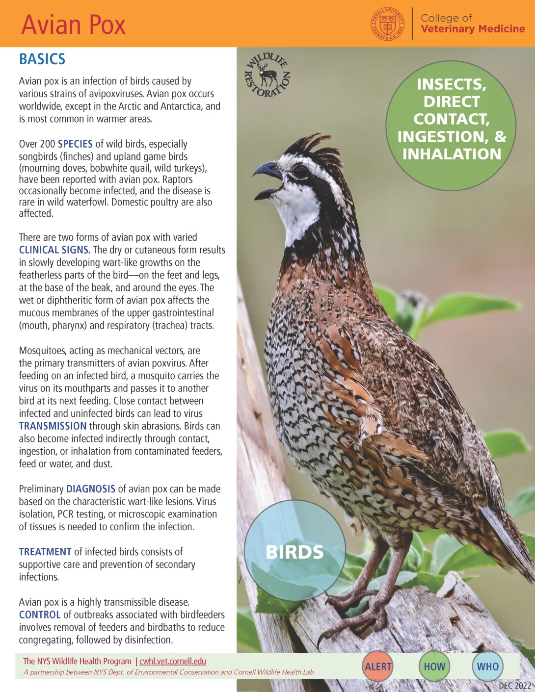 Thumbnail of avian pox fact sheet