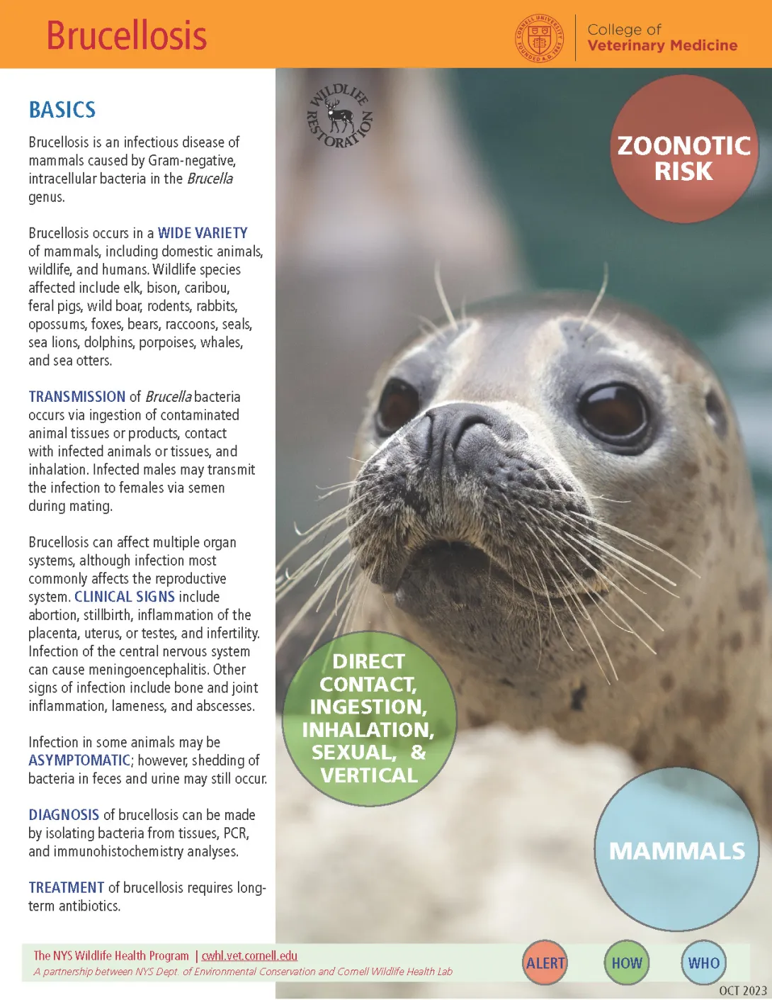 thumbnail of brucellosis fact sheet