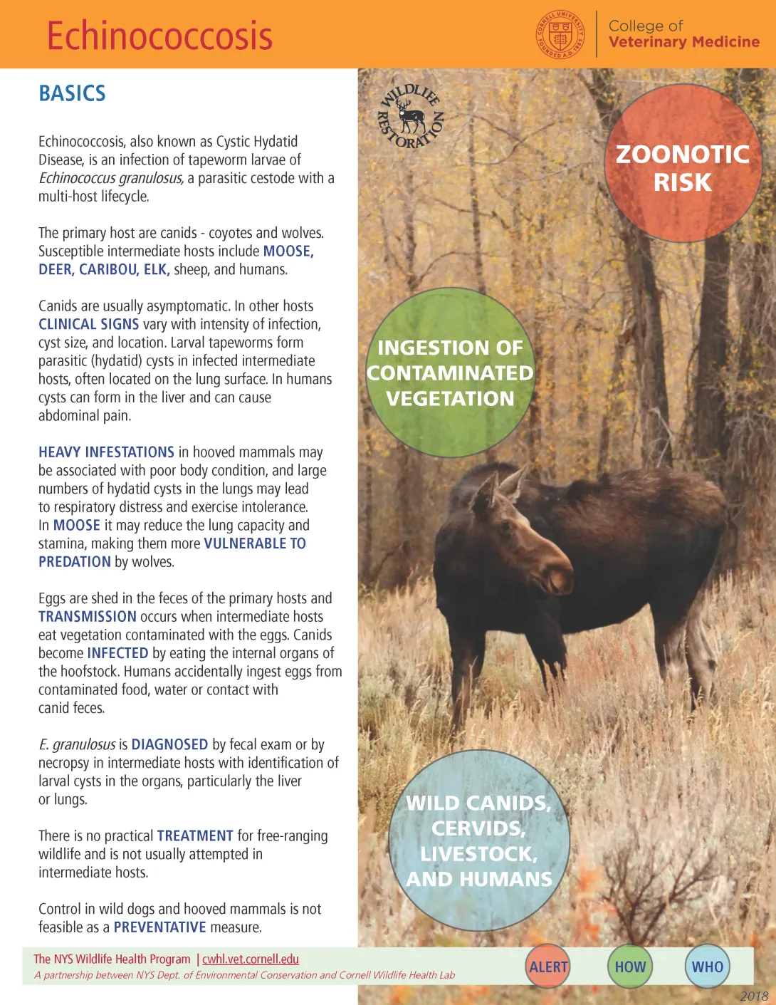 thumbnail of Echinococcosis fact sheet
