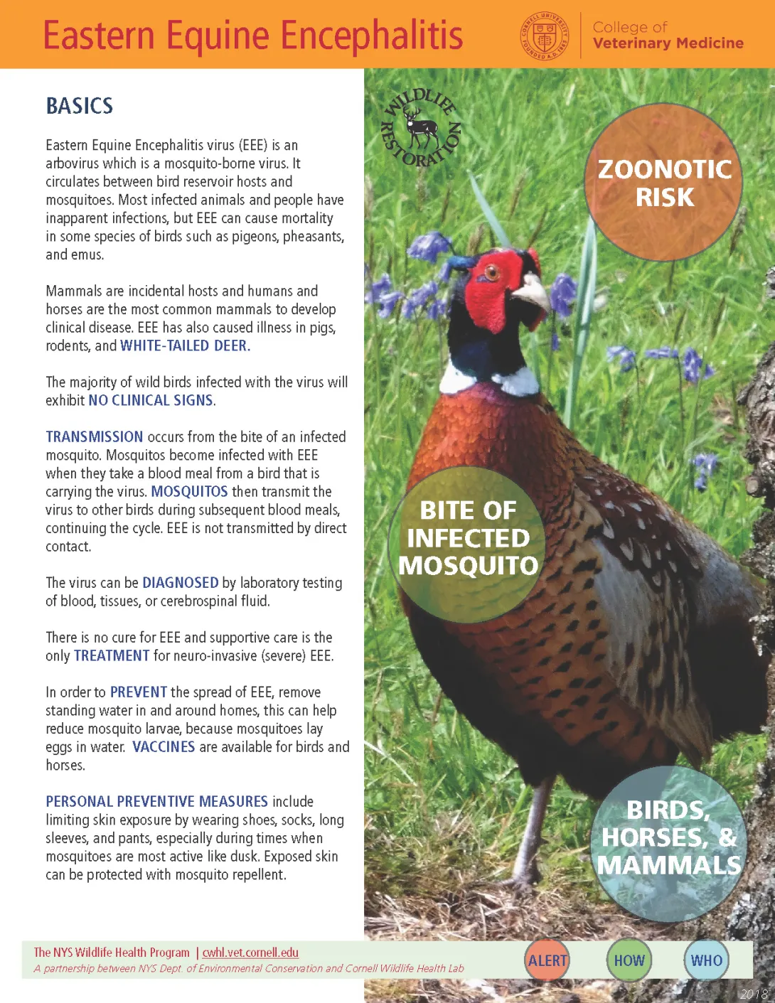 Thumbnail of EEE fact sheet