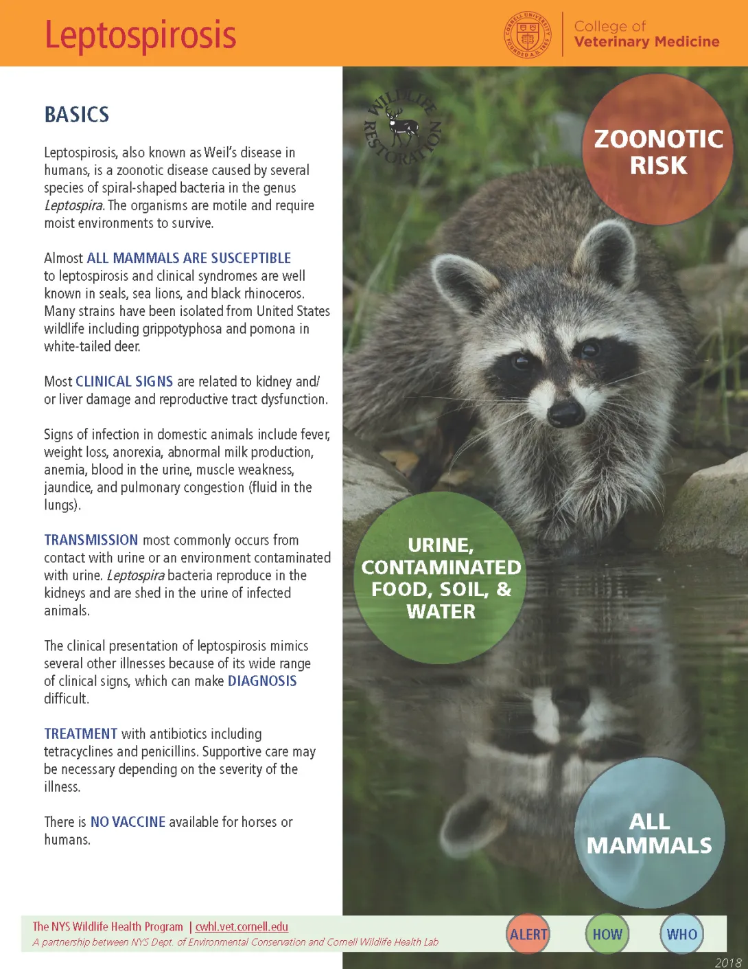 Thumbnail of lepto fact sheet
