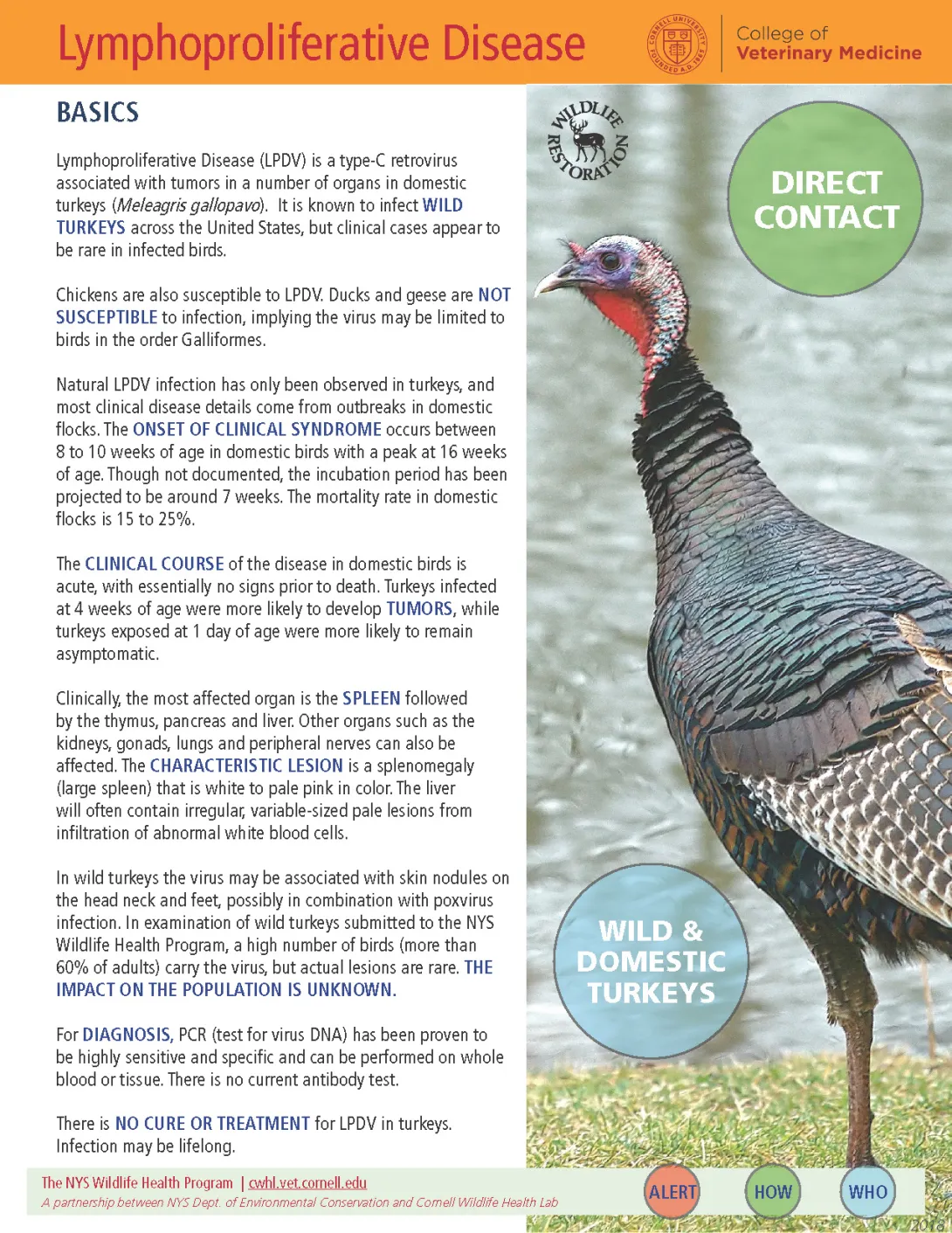 thumbnail of LPDV fact sheet