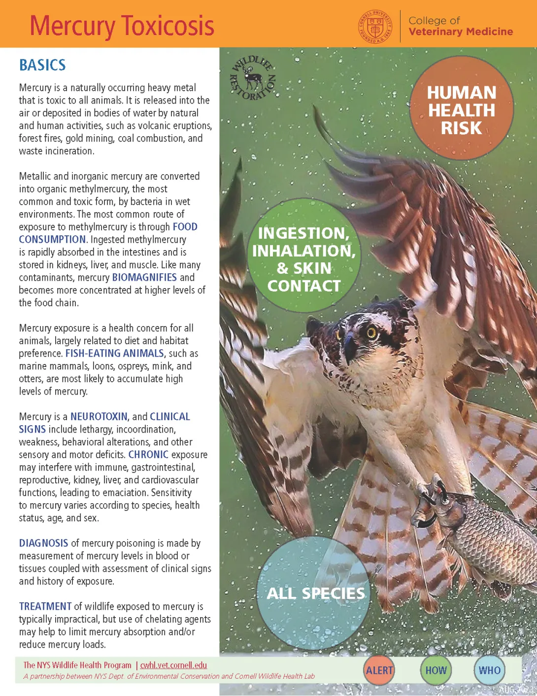 thumbnail of Mercury toxicosis fact sheet