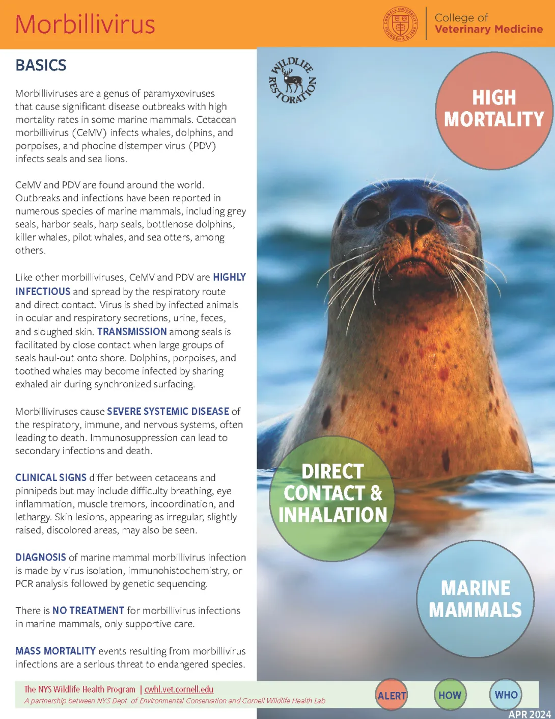 Thumbnail of Morbillivirus fact sheet