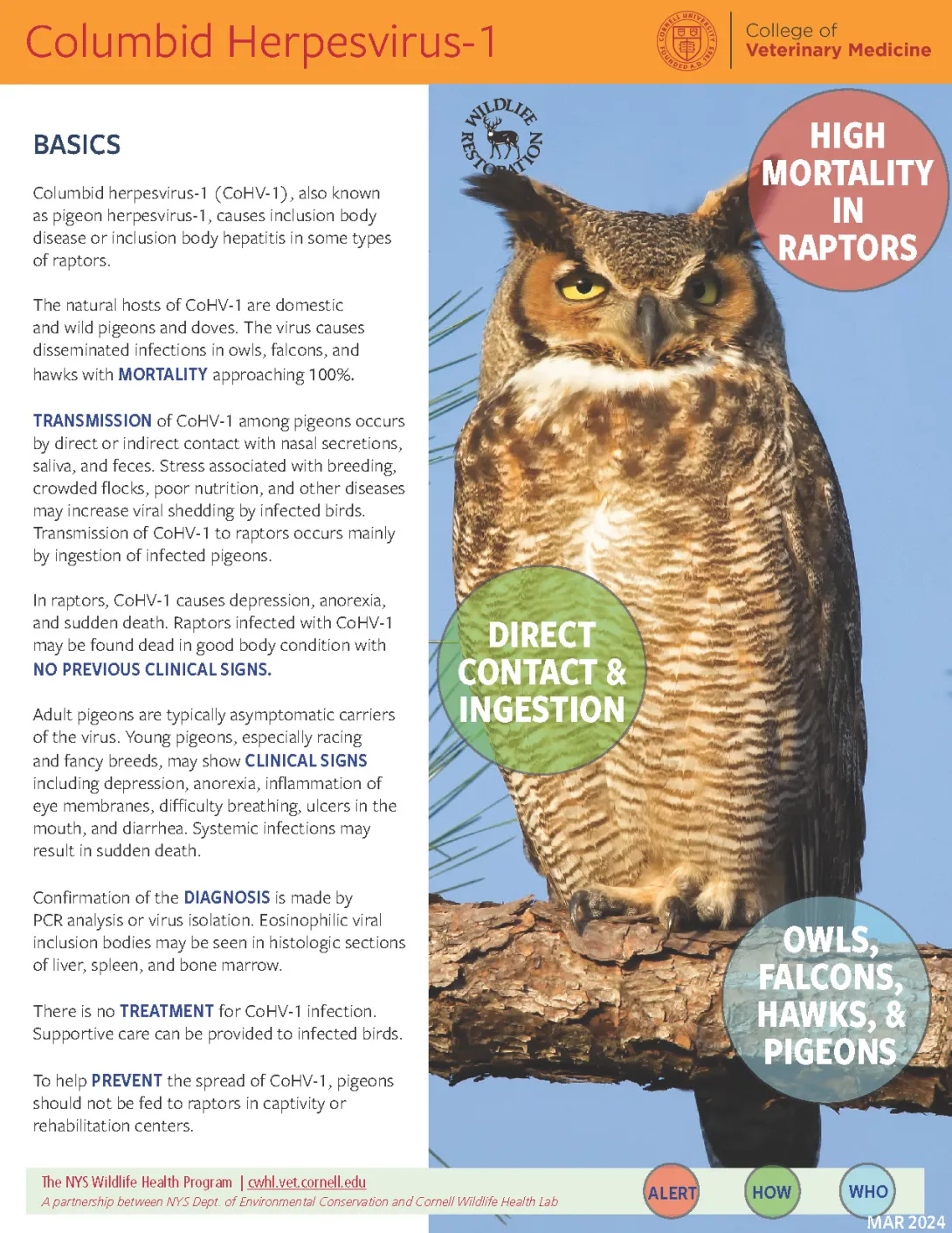 Thumbnail of HV1 fact sheet