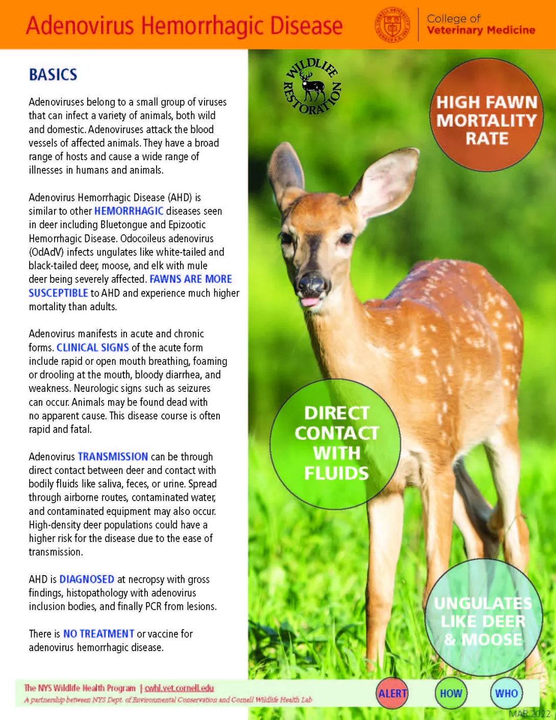 thumbnail of AHD fact sheet