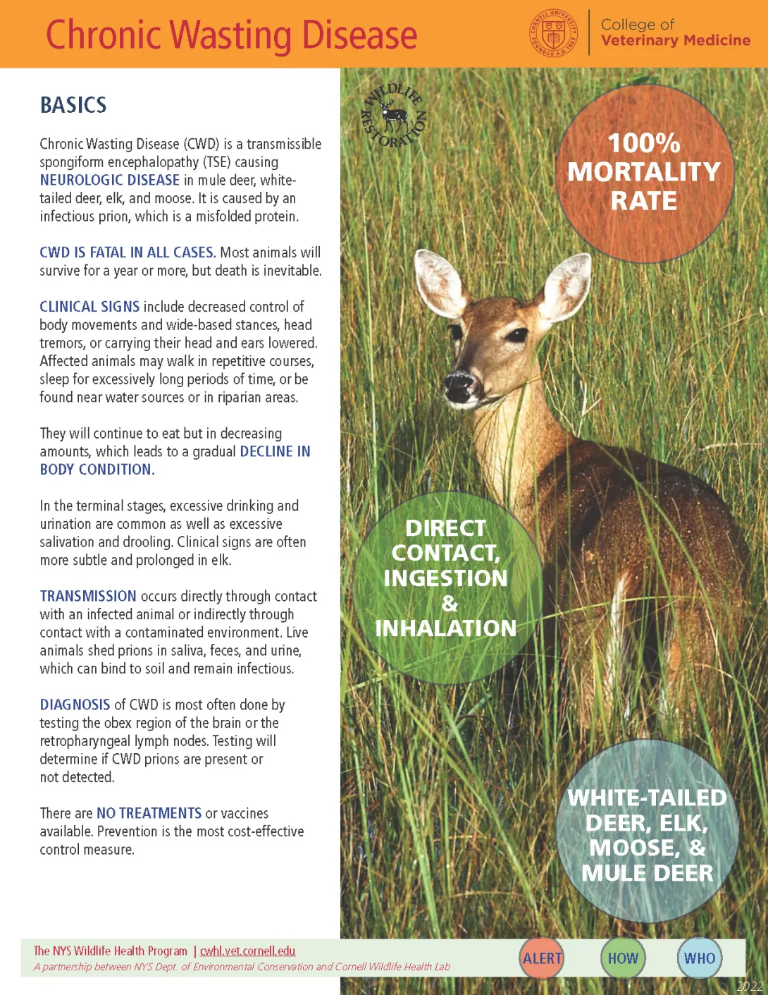 thumbnail of CWD fact sheet