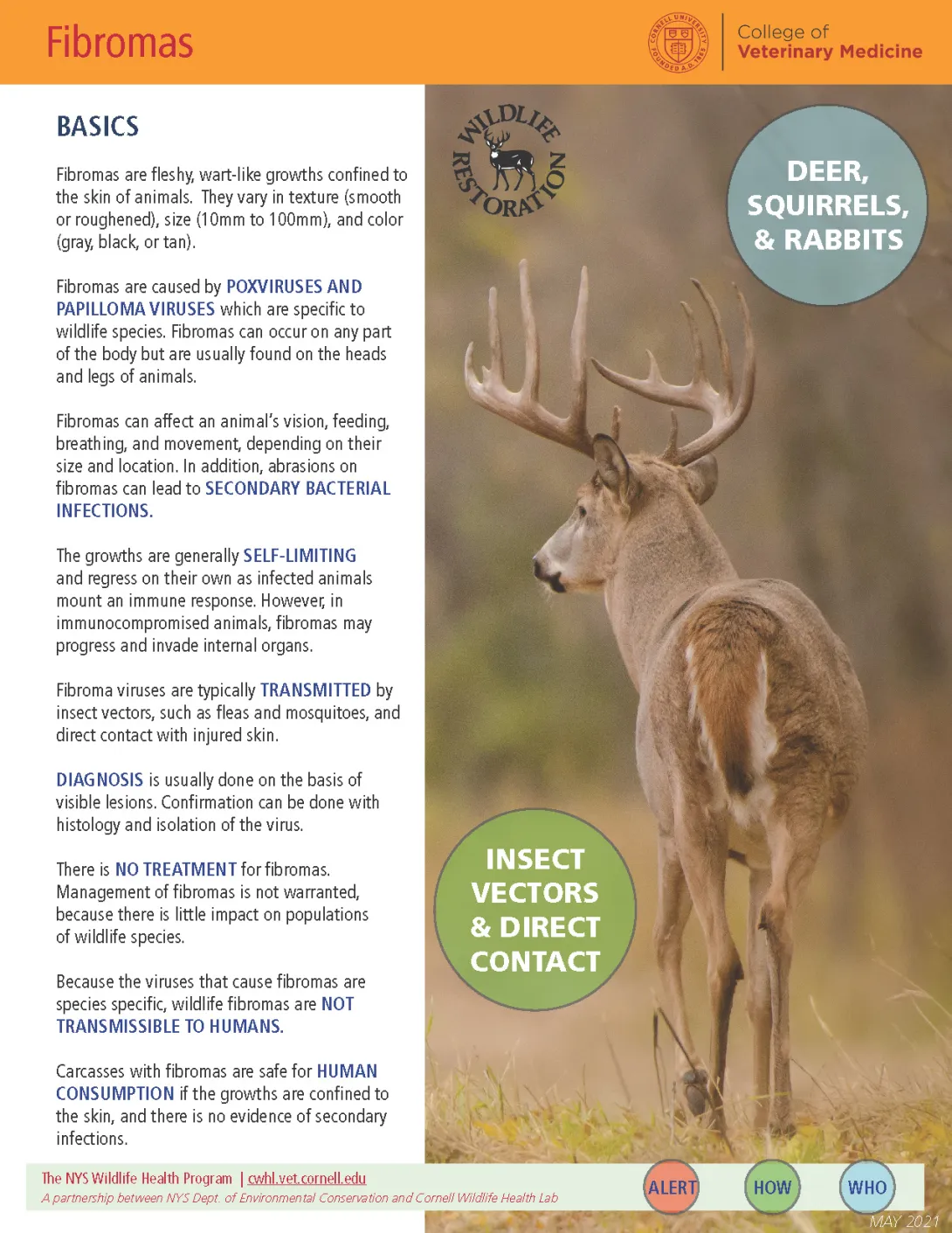 thumbnail of fibromas fact sheet
