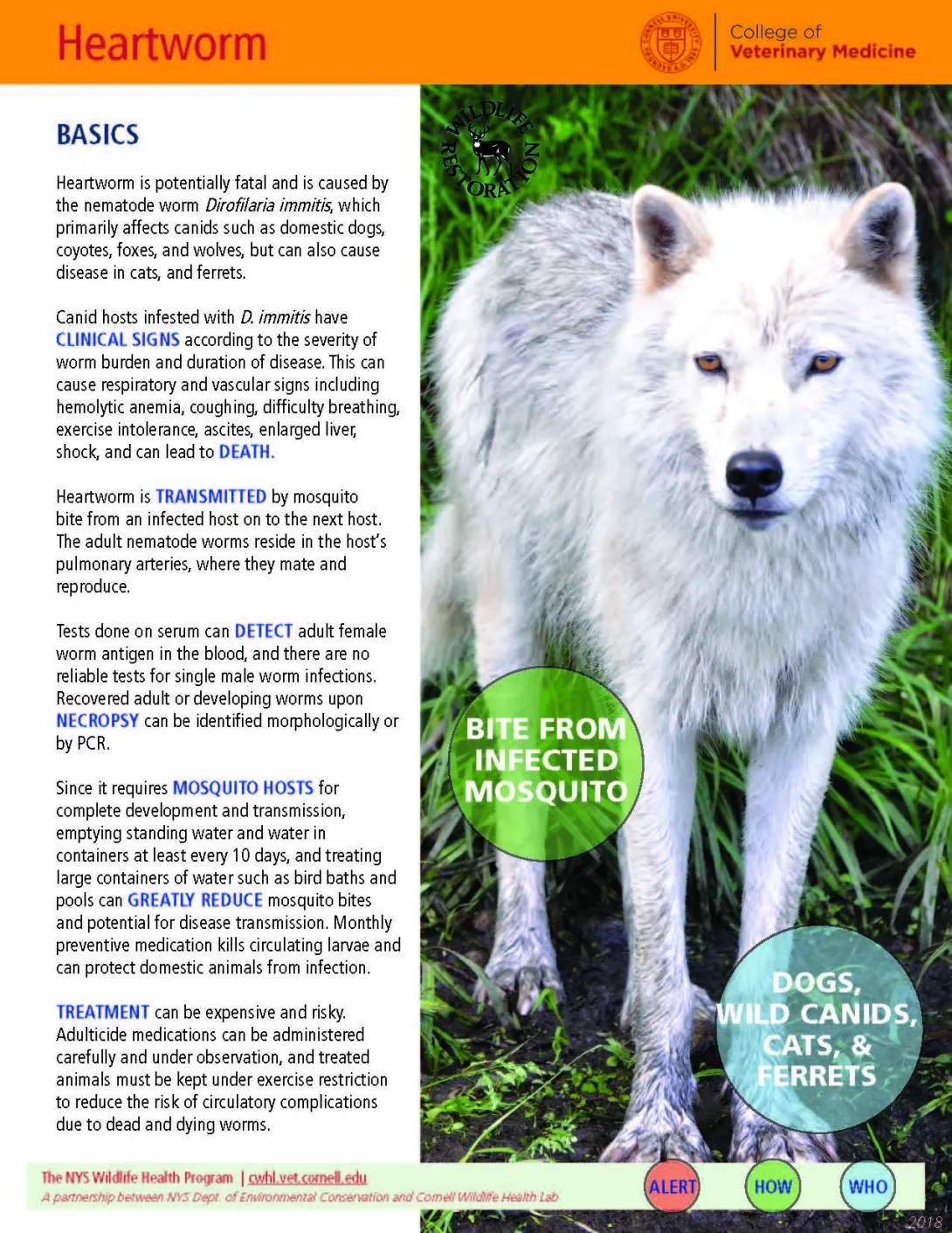 thumbnail of heartworm fact sheet