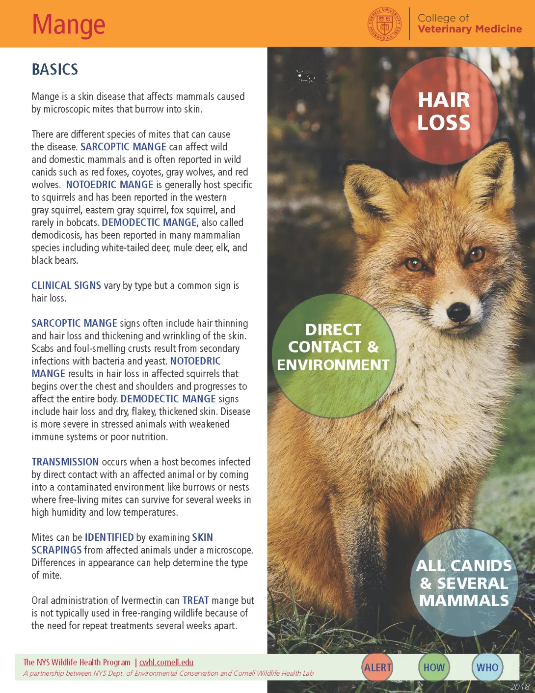 thumbnail of mange fact sheet