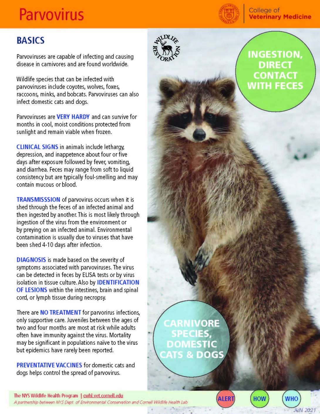 thumbnail of parvo fact sheet