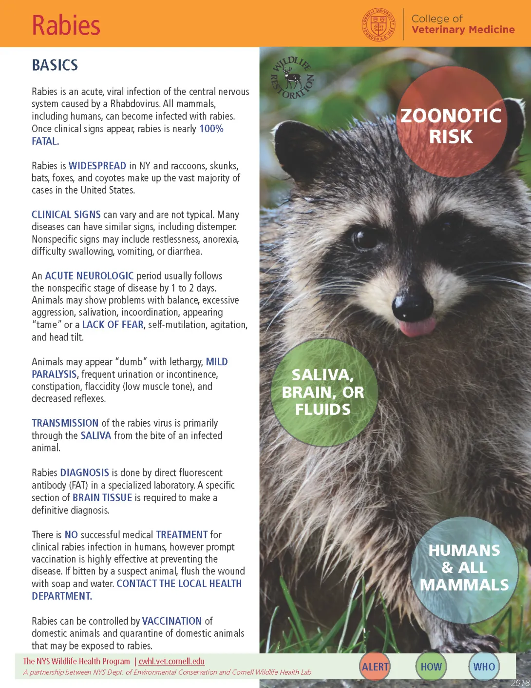 thumbnail of rabies fact sheet