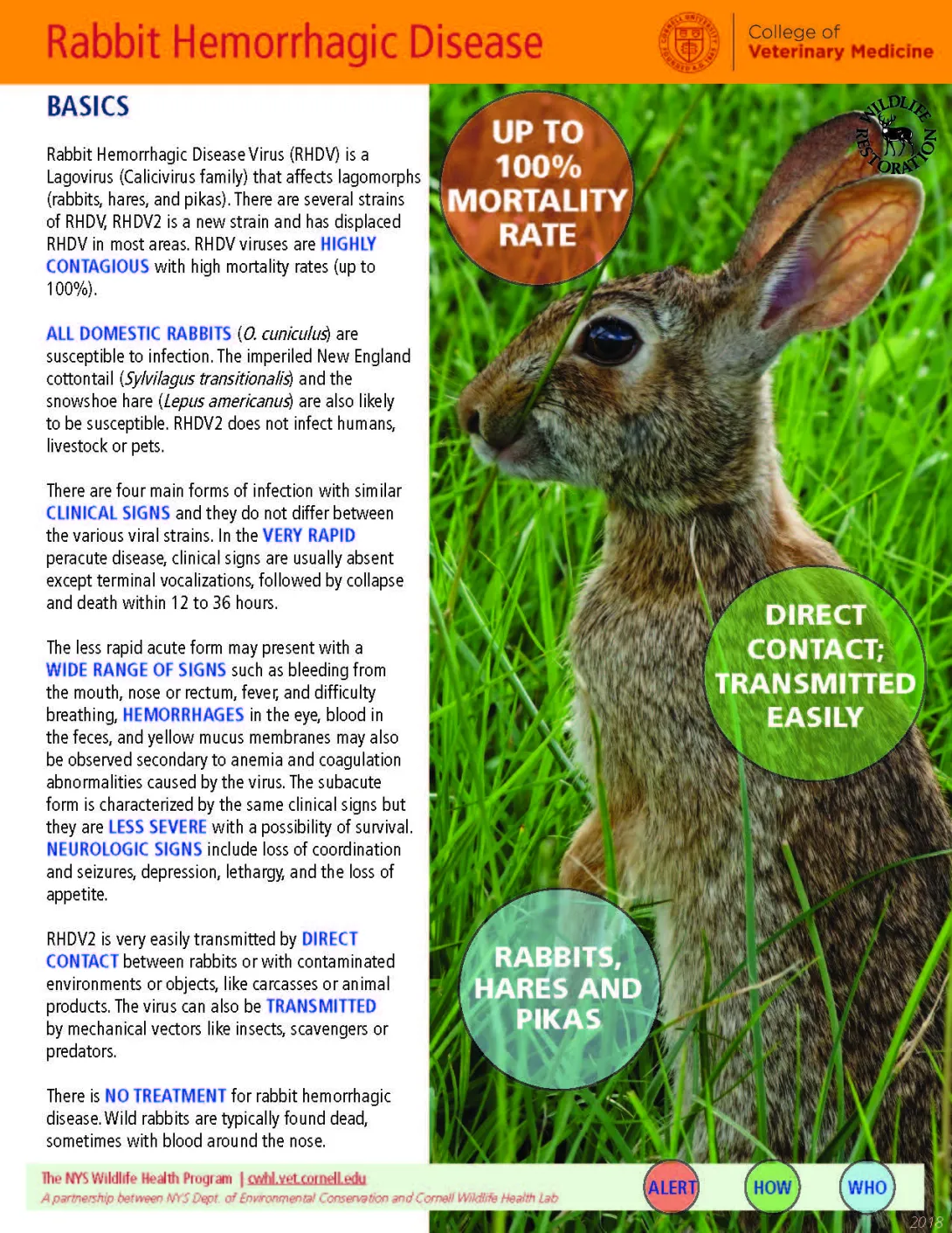 thumbnail of RHDV fact sheet