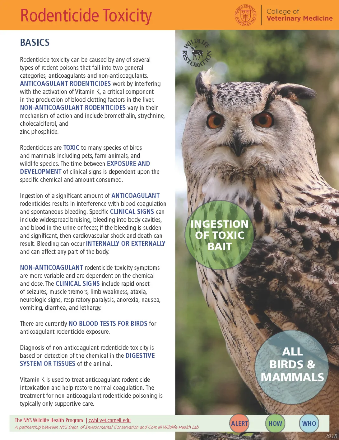 thumbnail of rodenticide fact sheet