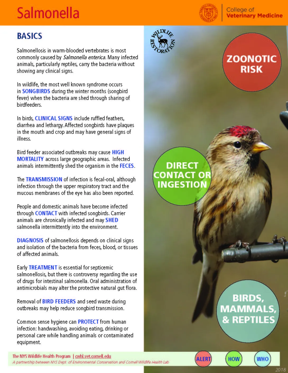thumbnail of salmonella fact sheet