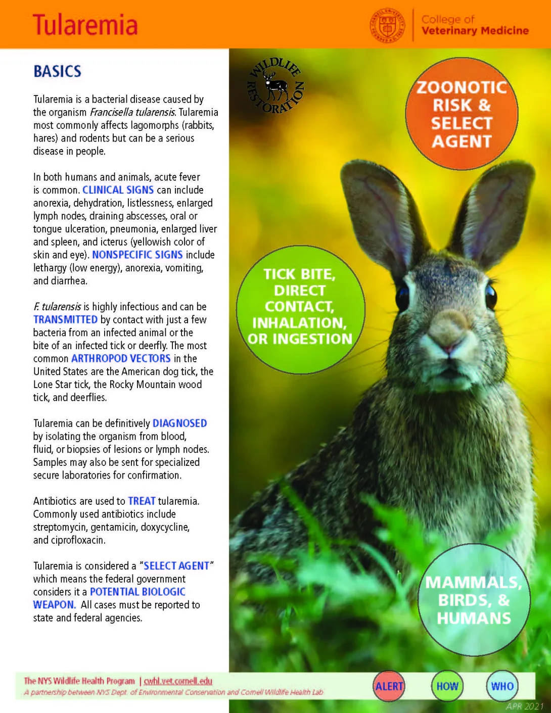 thumbnail of tularemia fact sheet