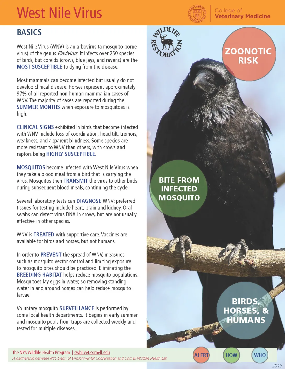 Thumbnail of WNV fact sheet 