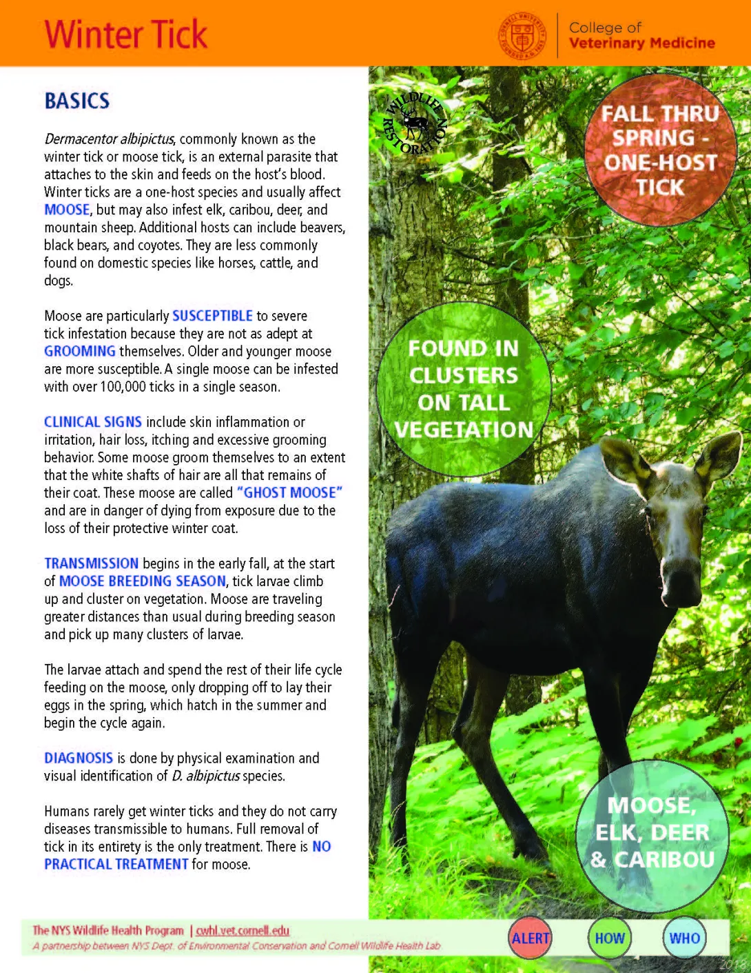 thumbnail of winter tick fact sheet