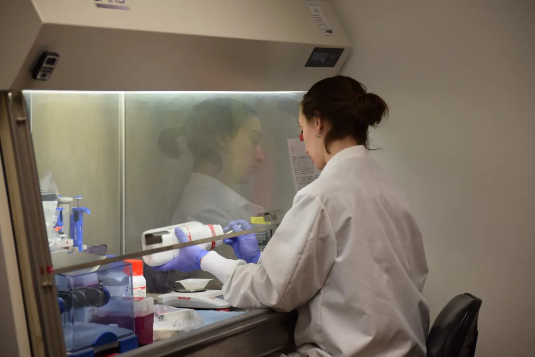 Dr. Kaganer carefully measuring reagent components under the biosafety cabinet.