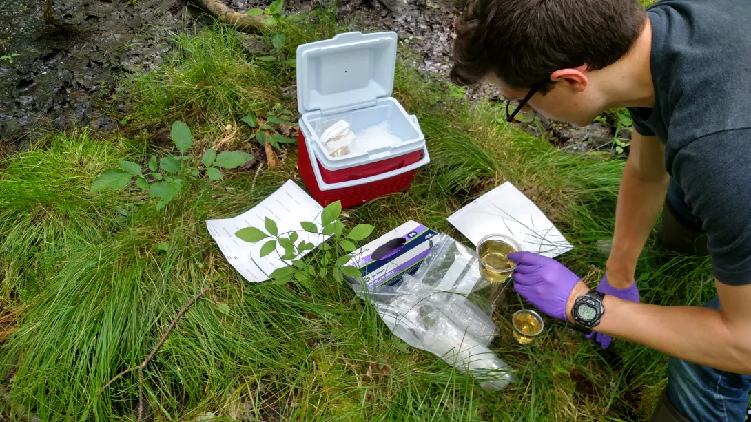 Cornell DVM student, Sean Stapleton collecting water samples for eDNA testing