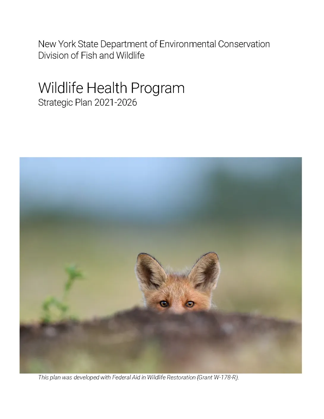 Thumbnail of NYS WHP Strategic Plan 2021-2026
