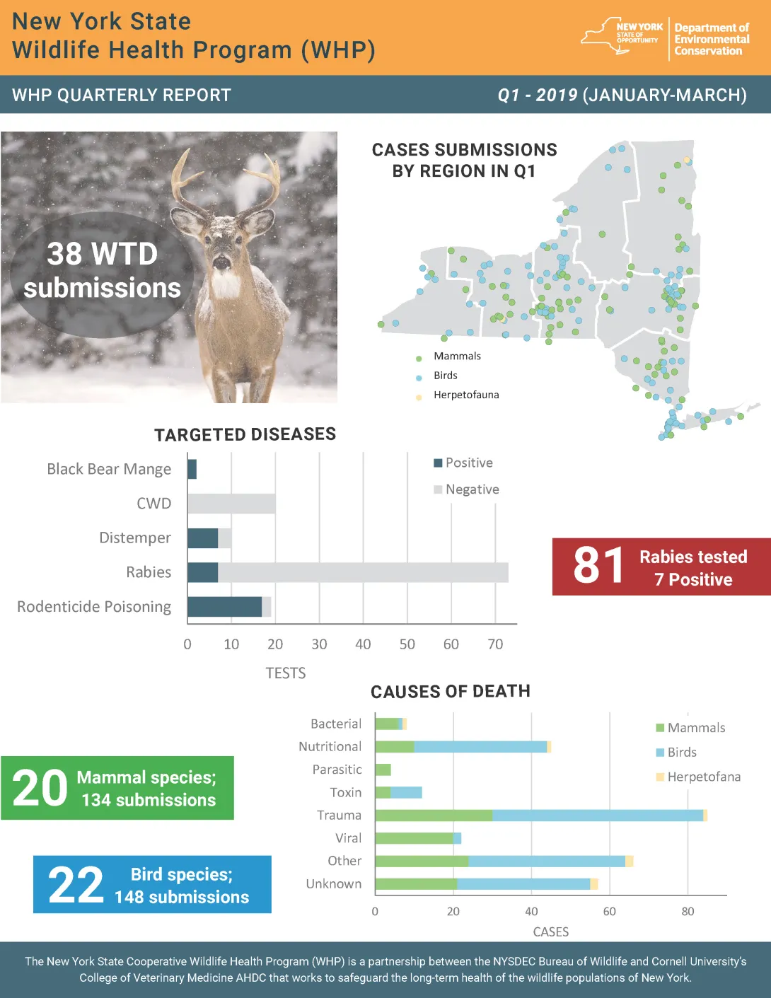 Thumbnail of NYS WHP Quarterly Report Q1 2019