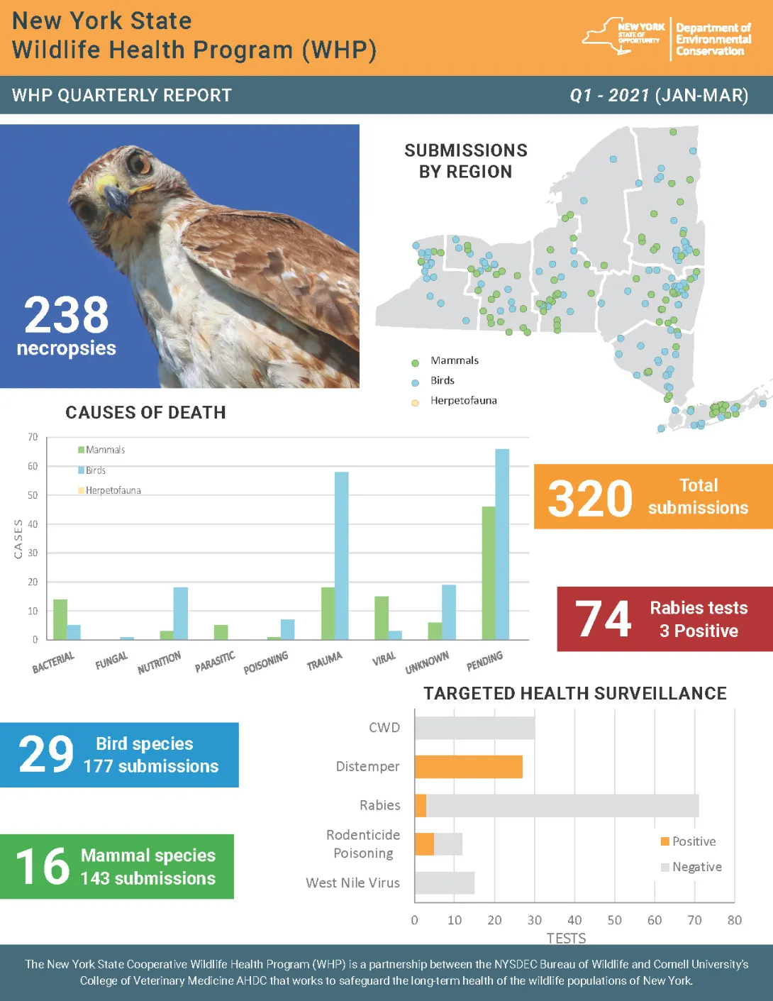 Thumbnail of NYS WHP Quarterly Report Q1 2021