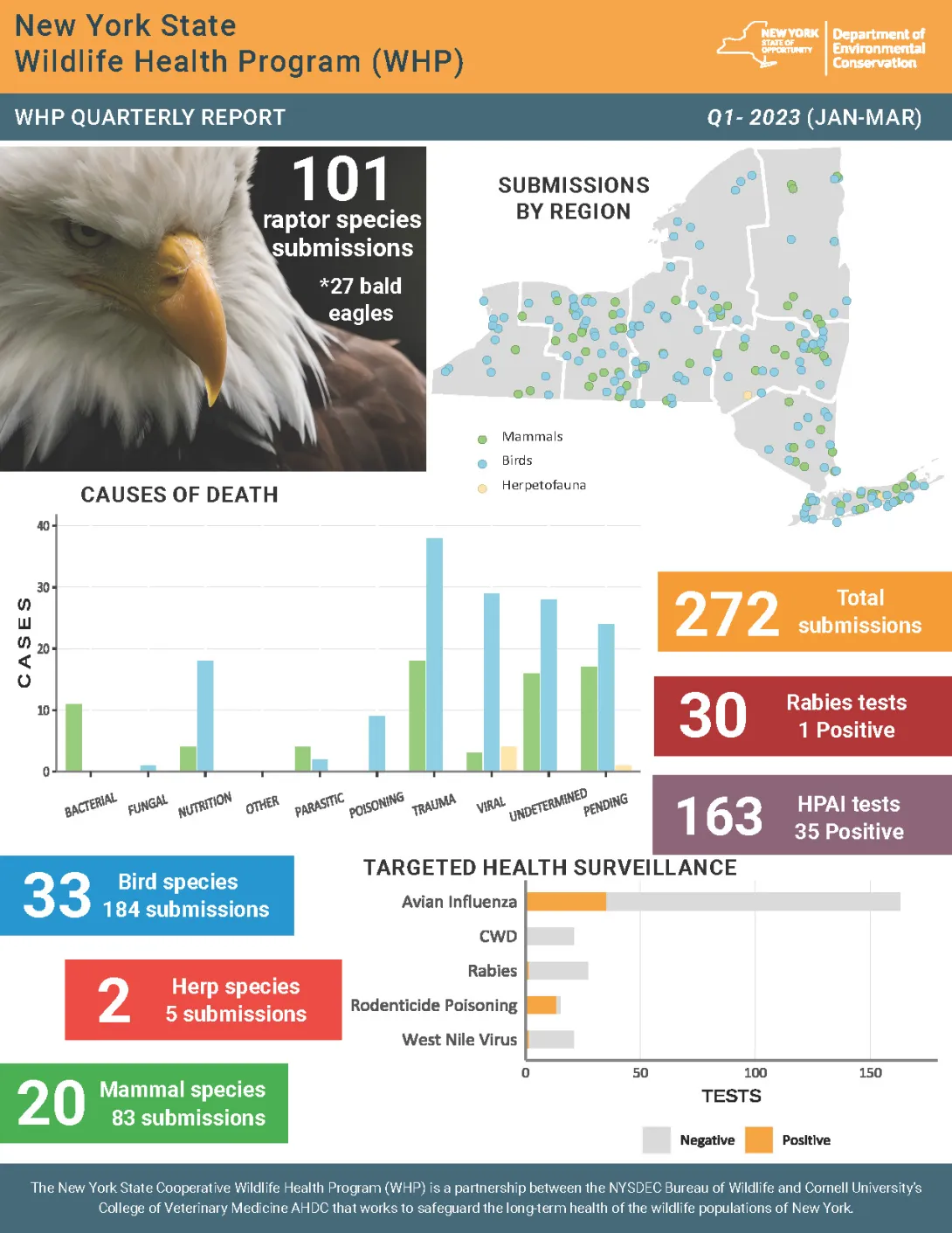 Thumbnail of NYS WHP Quarterly Report Q1 2023