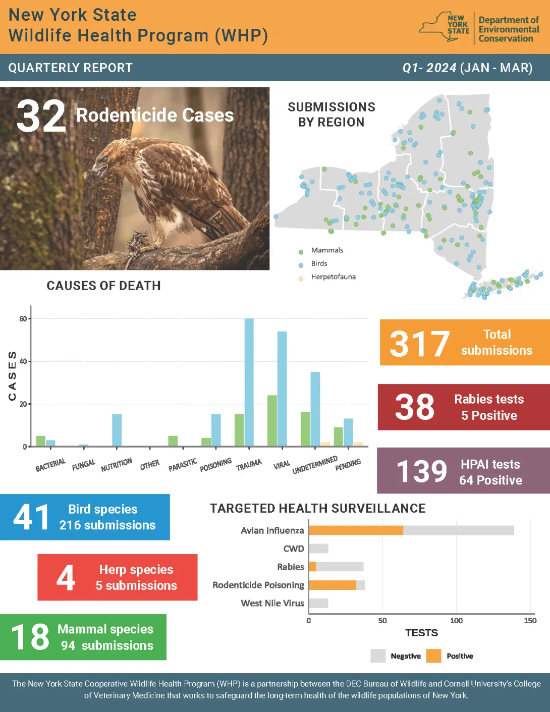 Thumbnail of NYS WHP Quarterly Report Q1 2024