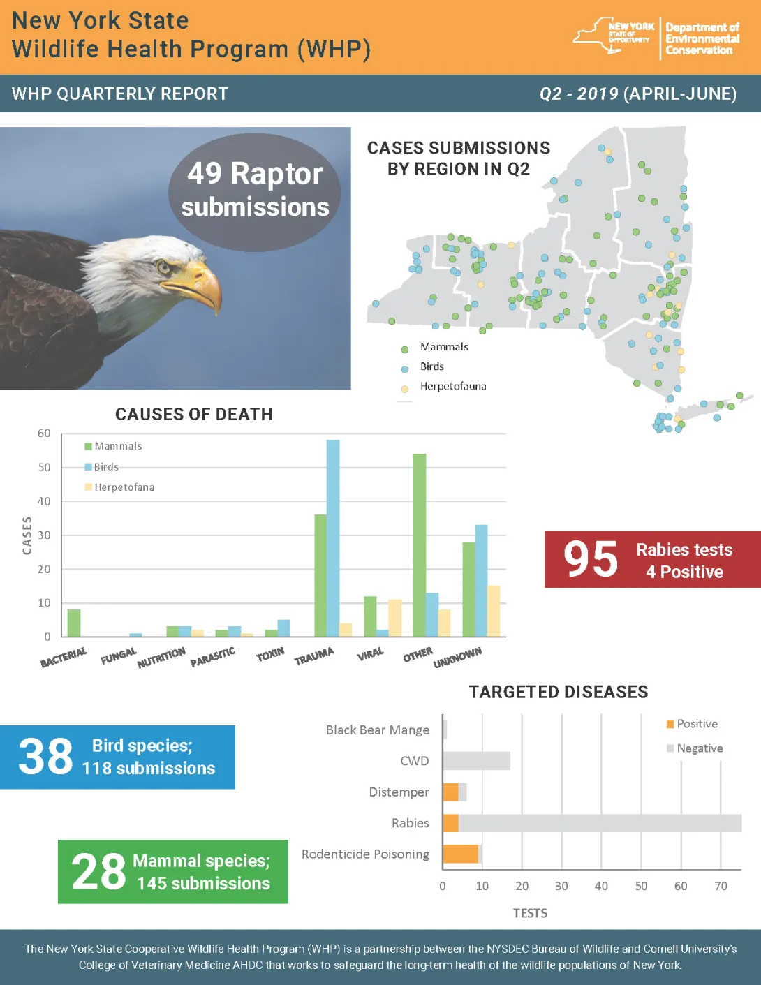 Thumbnail of NYS WHP Quarterly Report Q2 2019