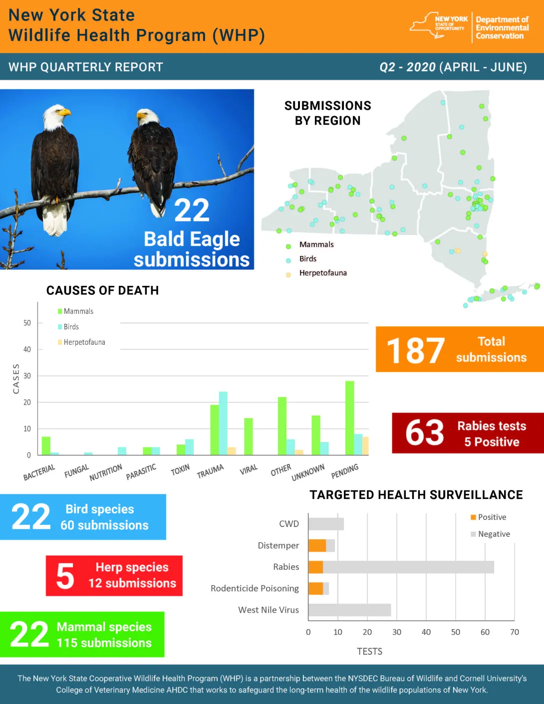 Thumbnail of NYS WHP Quarterly Report Q2 2020