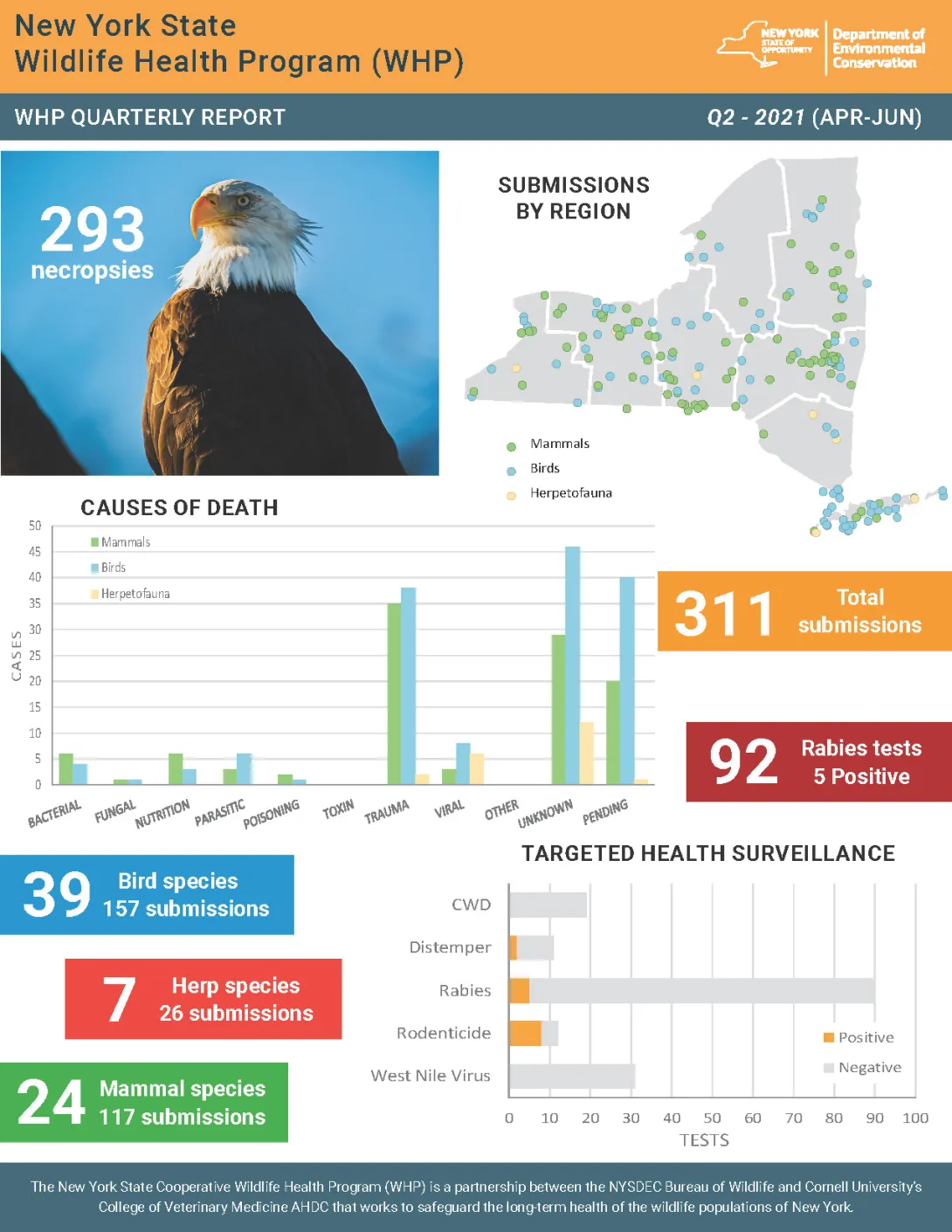 Thumbnail of NYS WHP Quarterly Report Q2 2021