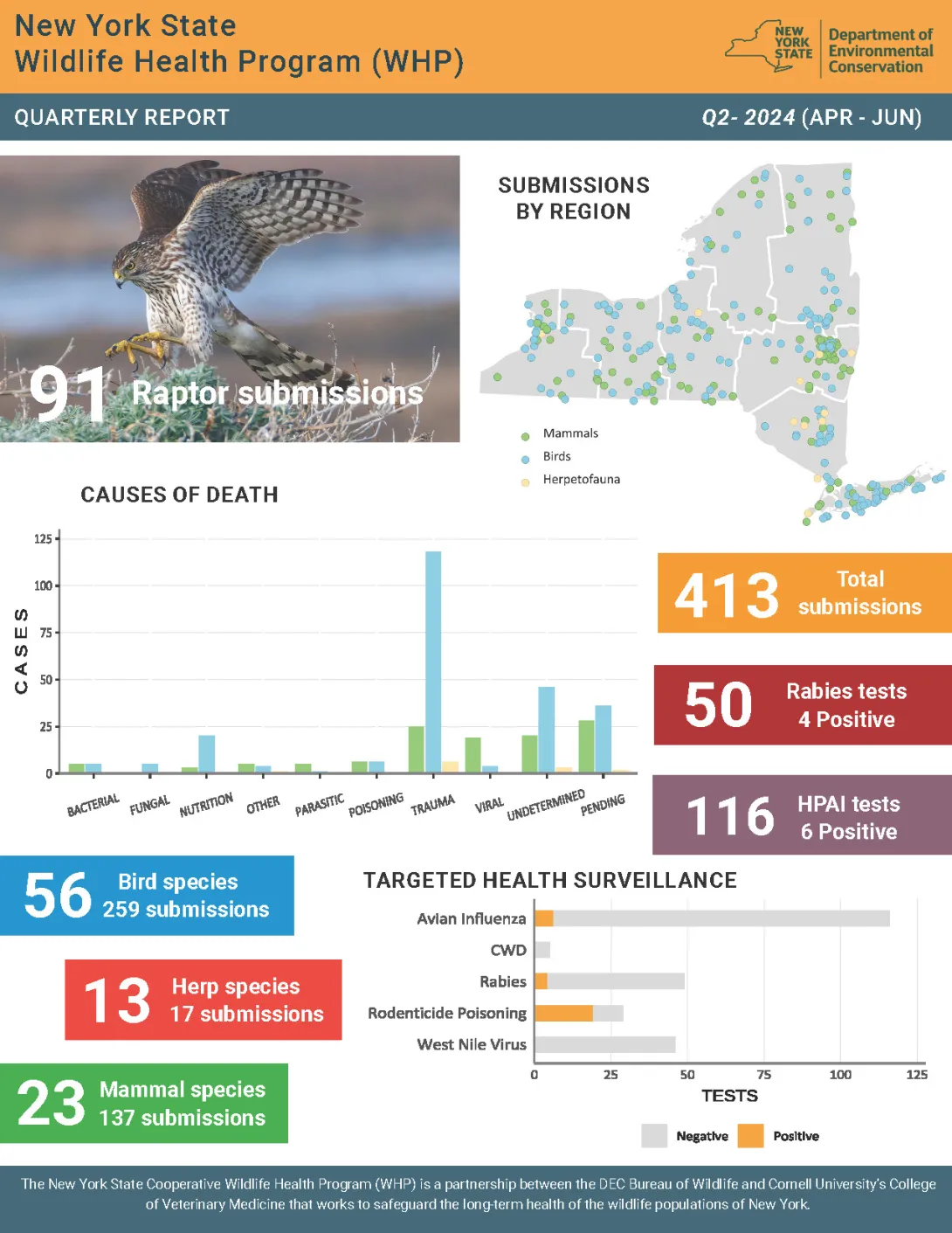 Thumbnail of NYS WHP Quarterly Report Q2 2024