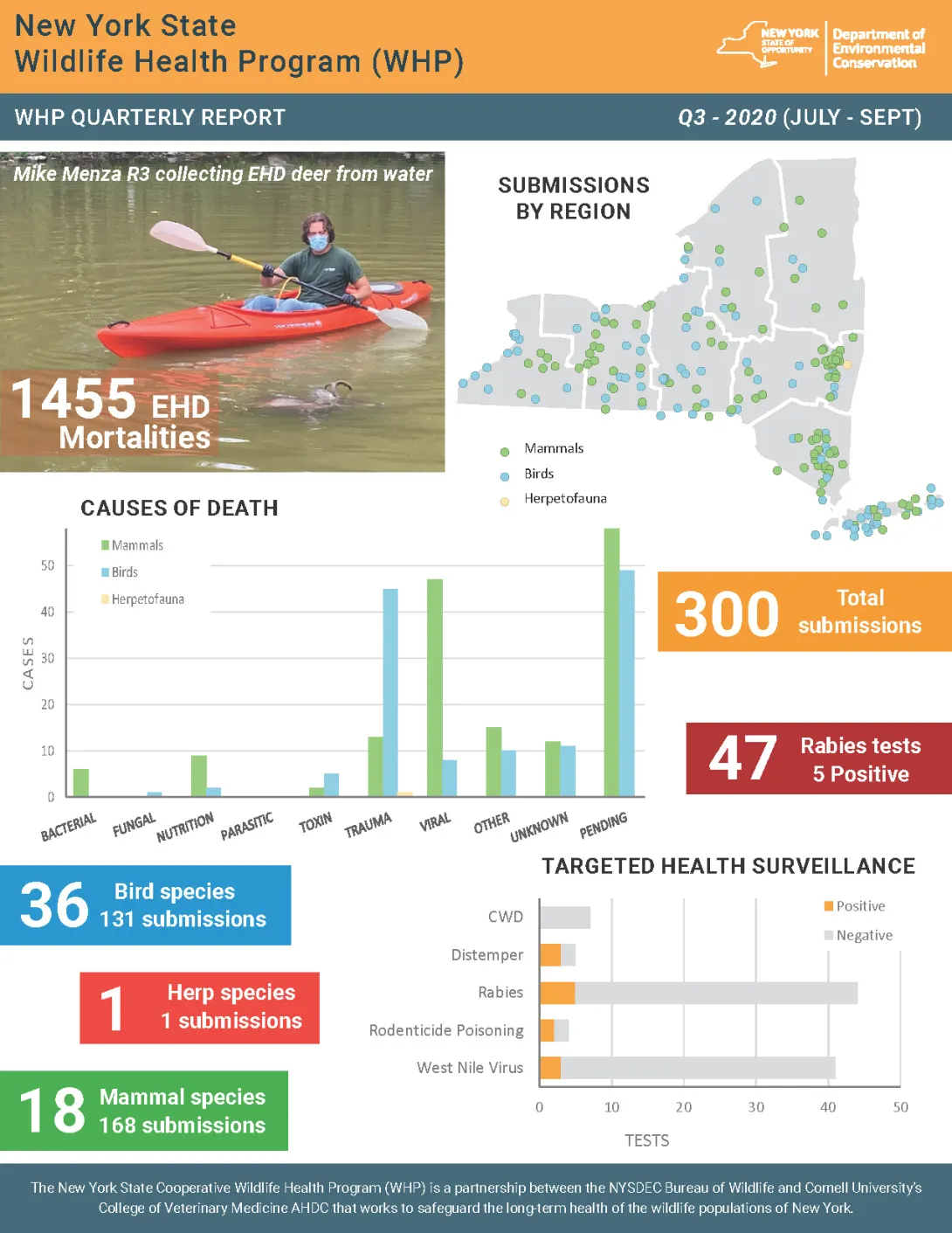 Thumbnail of NYS WHP Quarterly Report Q3 2020
