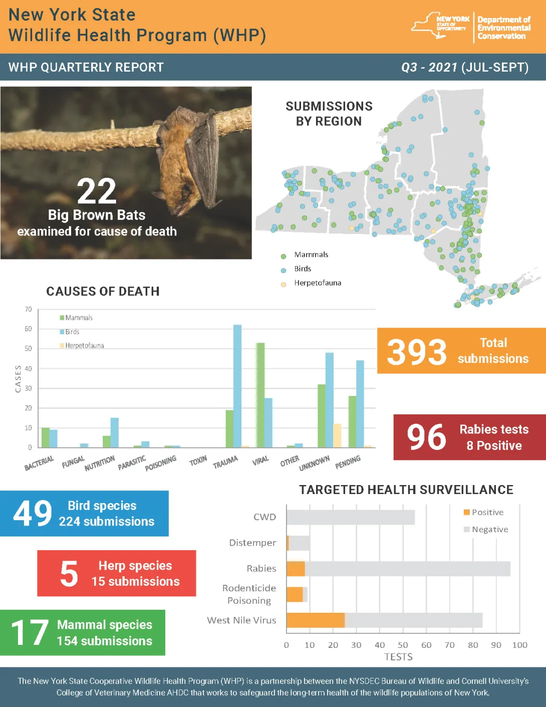 Thumbnail of NYS WHP Quarterly Report Q3 2021