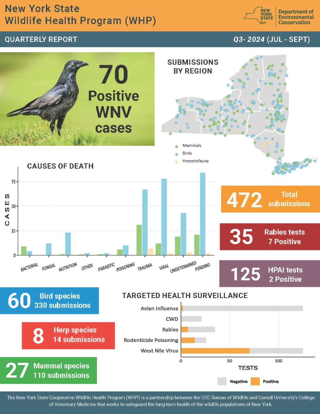 Thumbnail of report